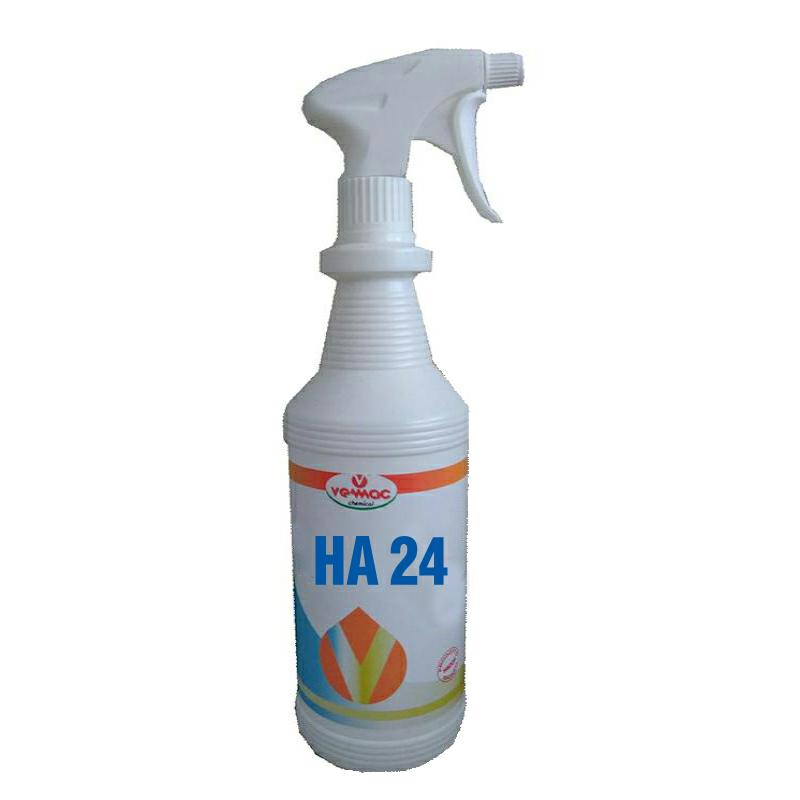 Ha24